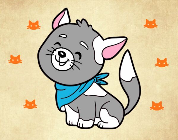 Gatito blanco y gris 