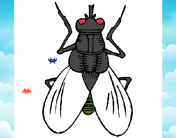 Dibujo de la mosca linda pintado por en  el día 10-08-22 a las  18:58:09. Imprime, pinta o colorea tus propios dibujos!
