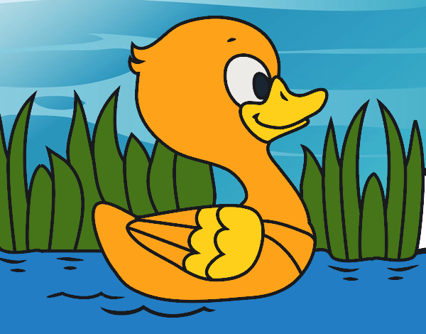 Patito de río