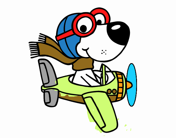 Perro piloto