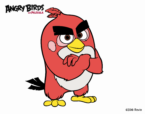 red de angrybirds