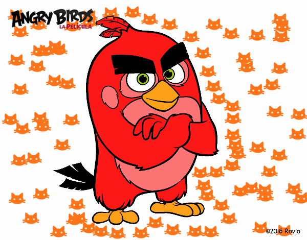 Red de Angry Birds