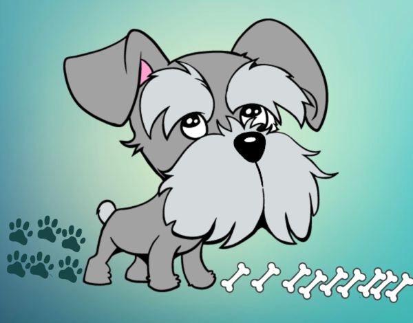 El pequeño Schnauzer 