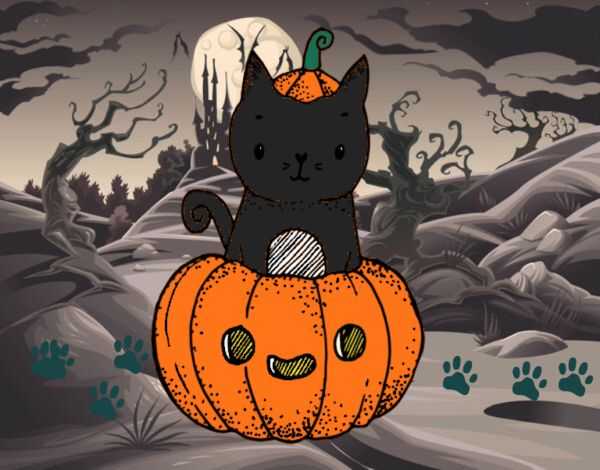 Un gatito de Halloween