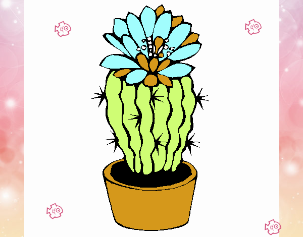 Cactus con flor