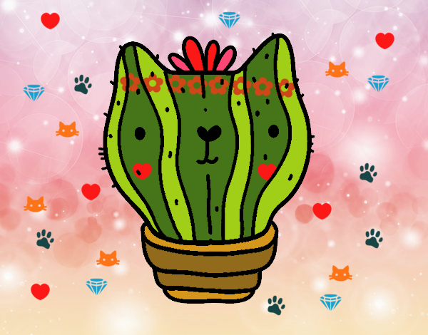 Cactus gato