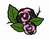 Dos rosas