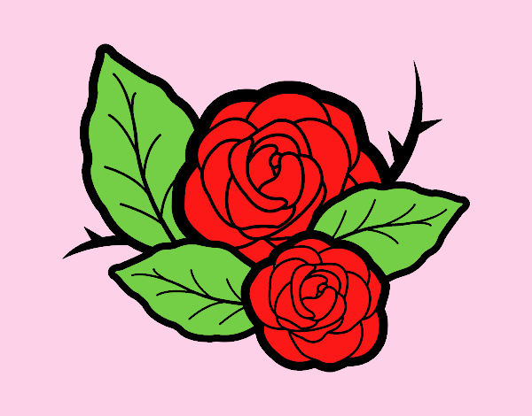 Dos rosas