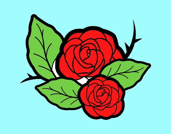 Dos rosas