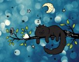 El gato y la luna