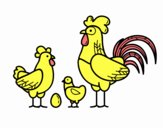 Familia gallina