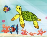 Tortuga de mar con peces