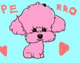 Cachorro de poodle