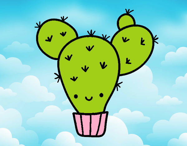 Cactus nopal