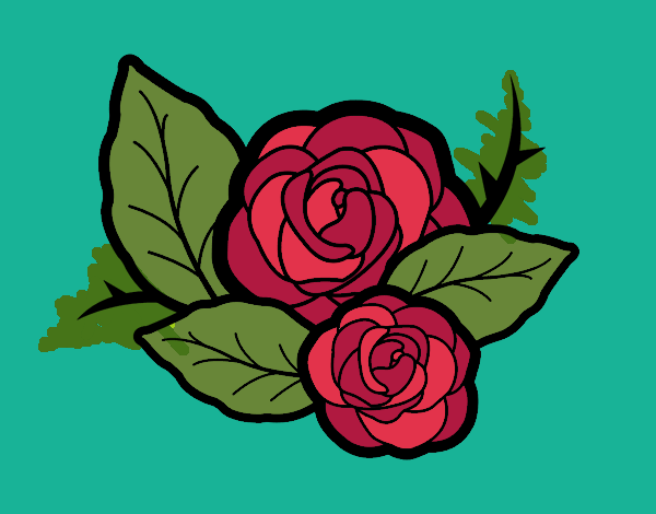 Dos rosas