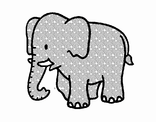 elefante