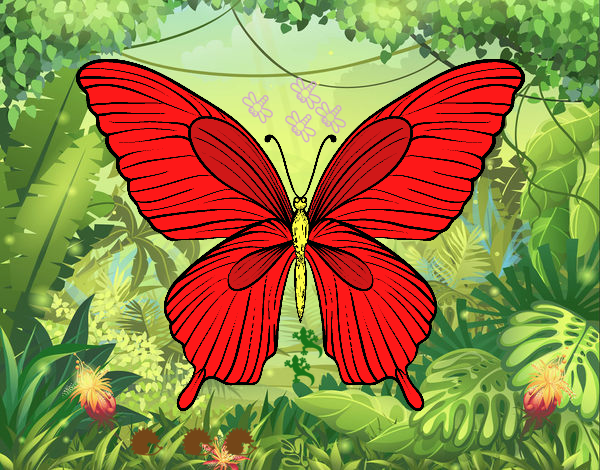 Mariposa tropical