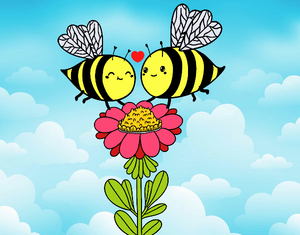 Pareja de abejas