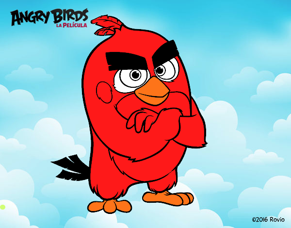 angry birds