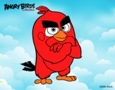 Red de Angry Birds