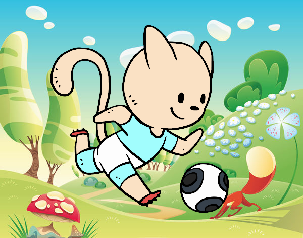 Gato jugando a fútbol