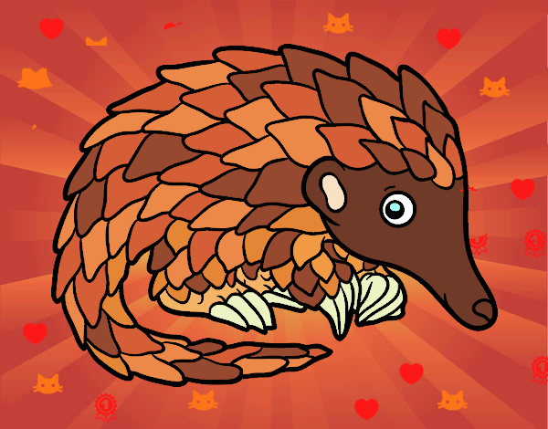 Pangolin