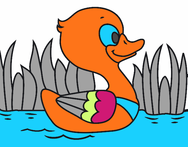 Patito de río