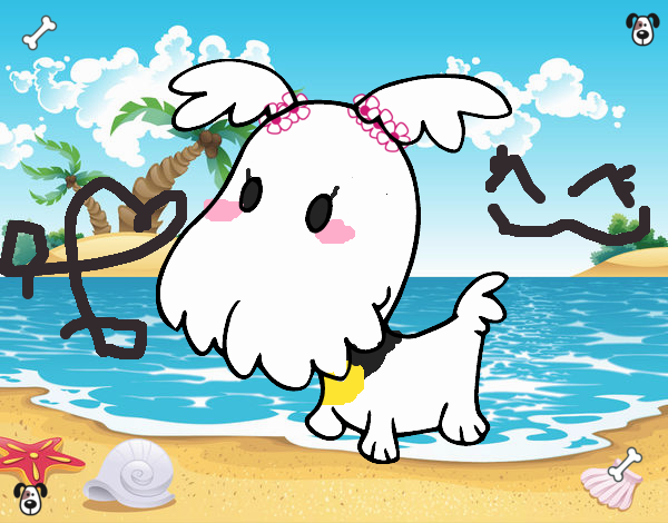 perrita en la playa ^^