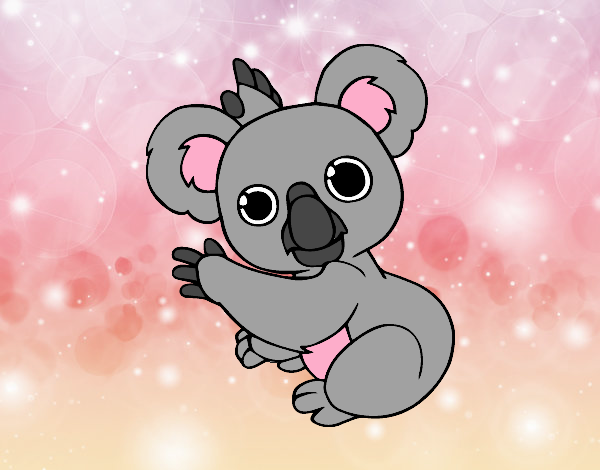 Un Koala