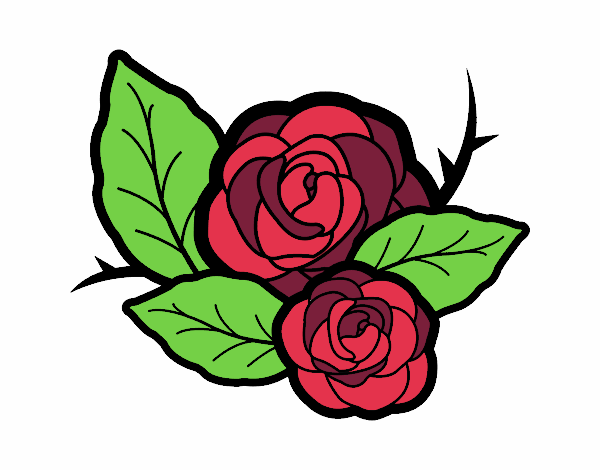 Dos rosas