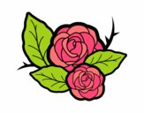 Dos rosas