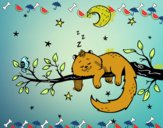 El gato y la luna