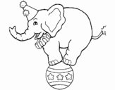 Elefante encima de una pelota