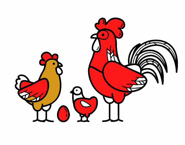 Familia gallina