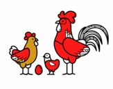 Familia gallina