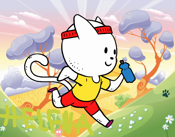 Gato runner