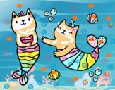 Gatos sirena