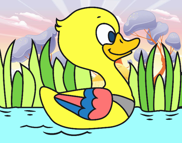 Patito de río