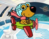 Perro piloto