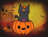 Un gatito de Halloween