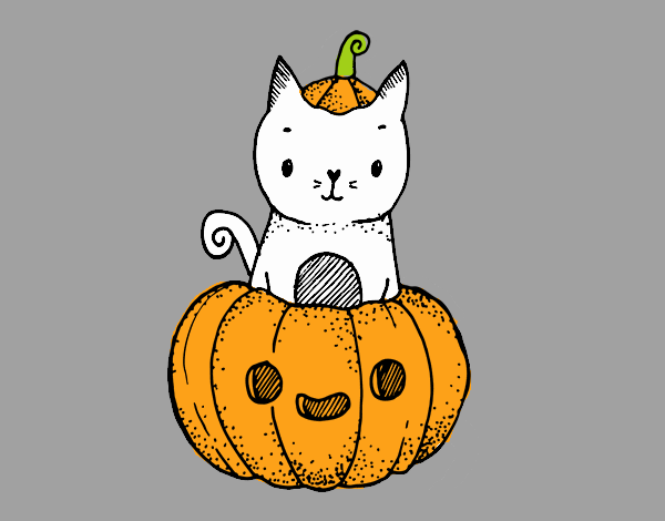 Un gatito de Halloween