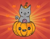 Un gatito de Halloween