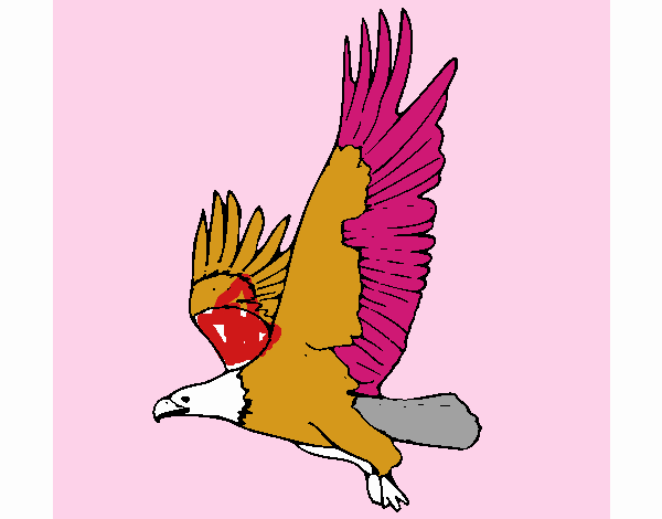 Águila volando