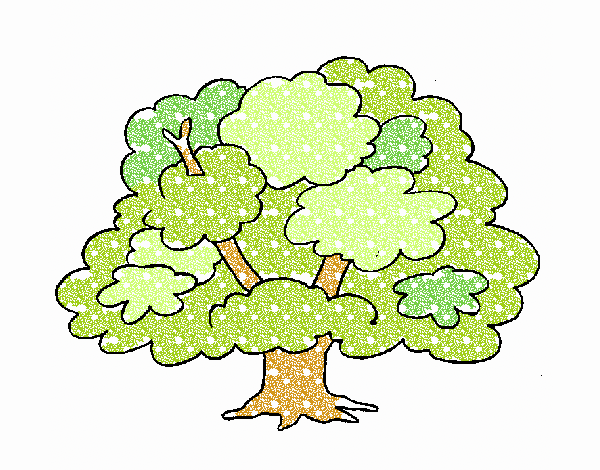 Árbol