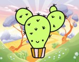 Cactus nopal