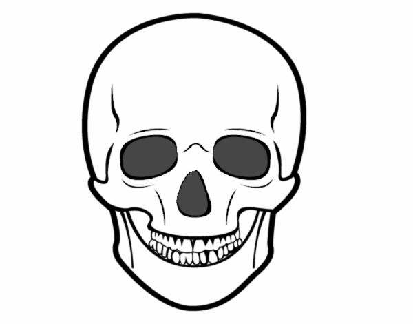  Dibujo de Cráneo humano pintado por en Dibujos.net el día