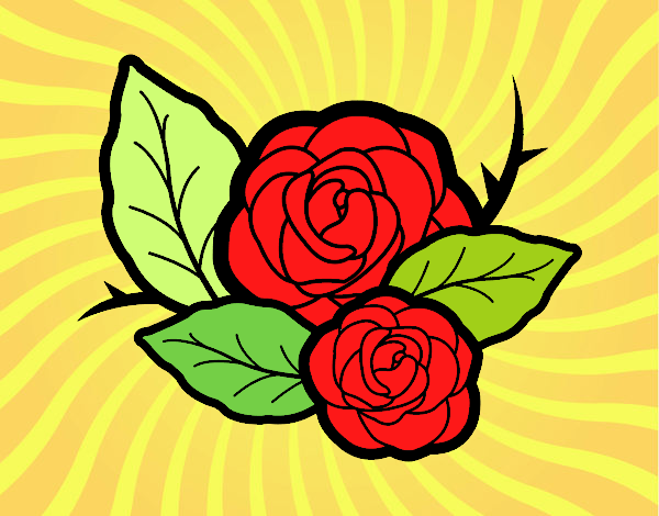 Dos rosas