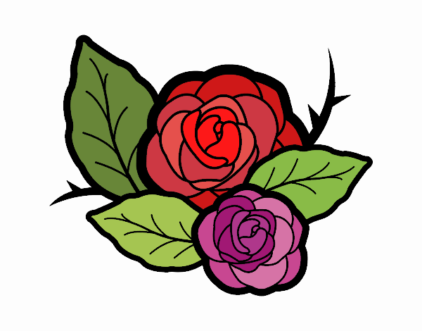 Dos rosas