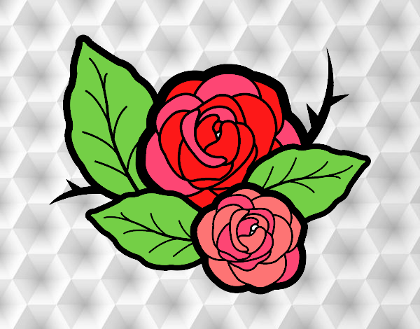 Dos rosas