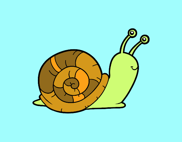 El caracol